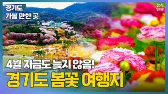 경기도 봄 여행지 추천 10곳 완벽 코스 가이드북_5