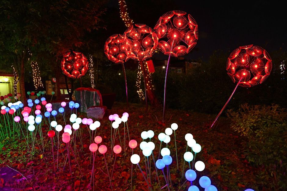 남동 빛의 거리 사진