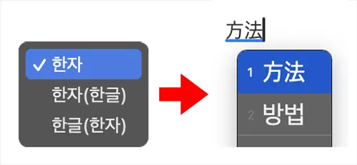 "한자"를 선택한 경우 표시방식