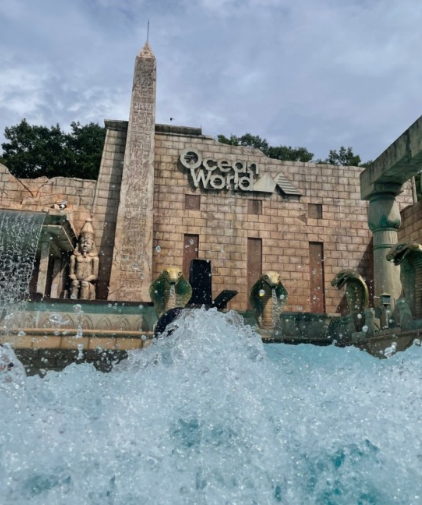 '여름휴가' 오션월드 운영시간