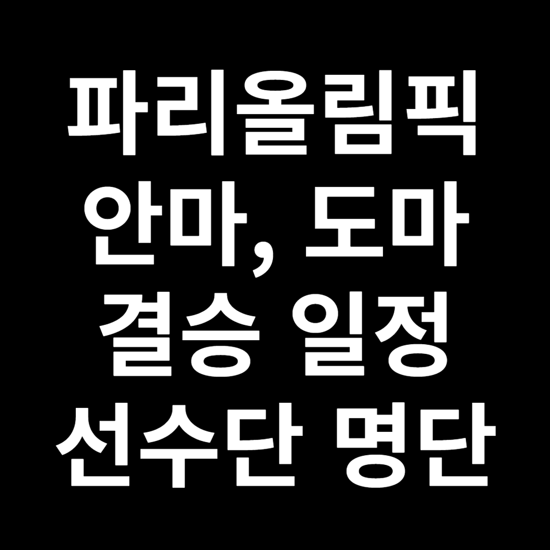 파리올림픽 안마, 도마 일정