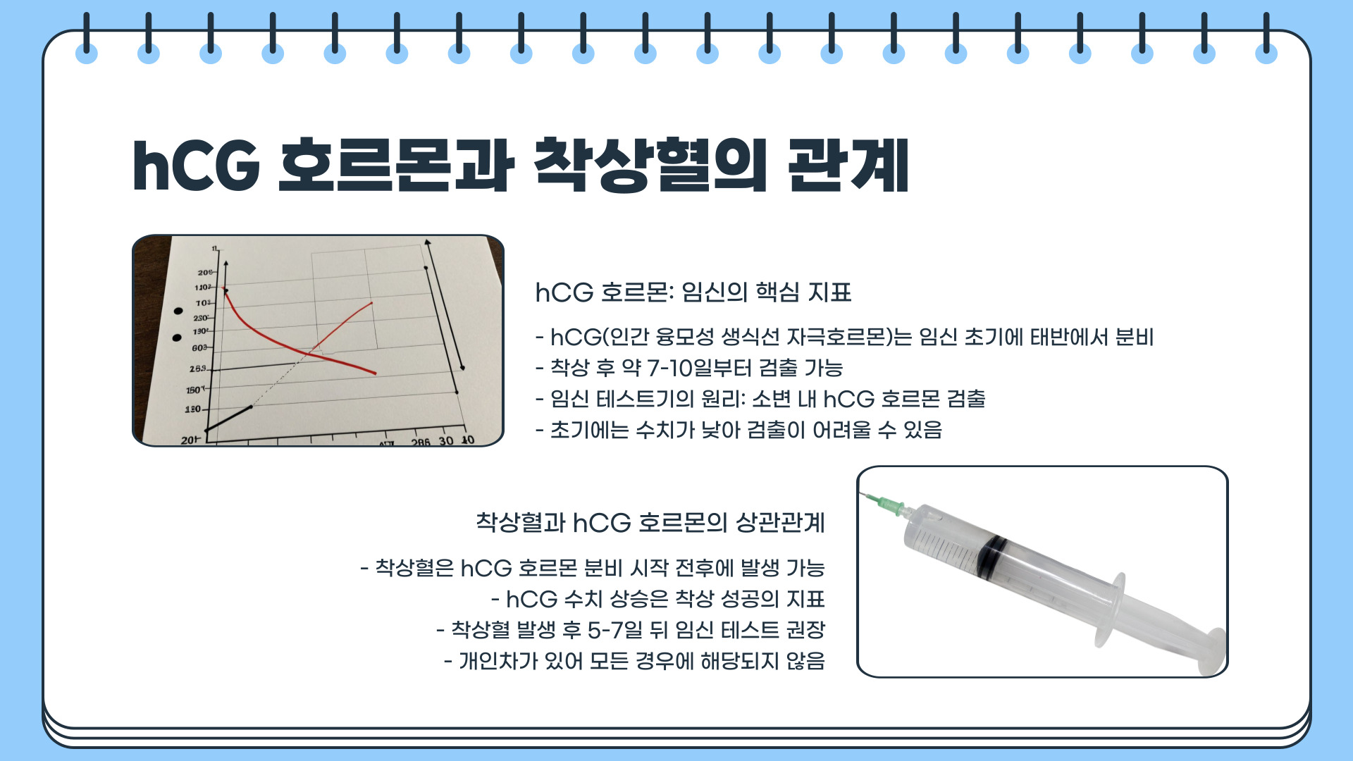 착상혈