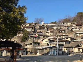 순천 가볼만한곳 베스트10 순천만 갈대밭 숨겨진 명소_5