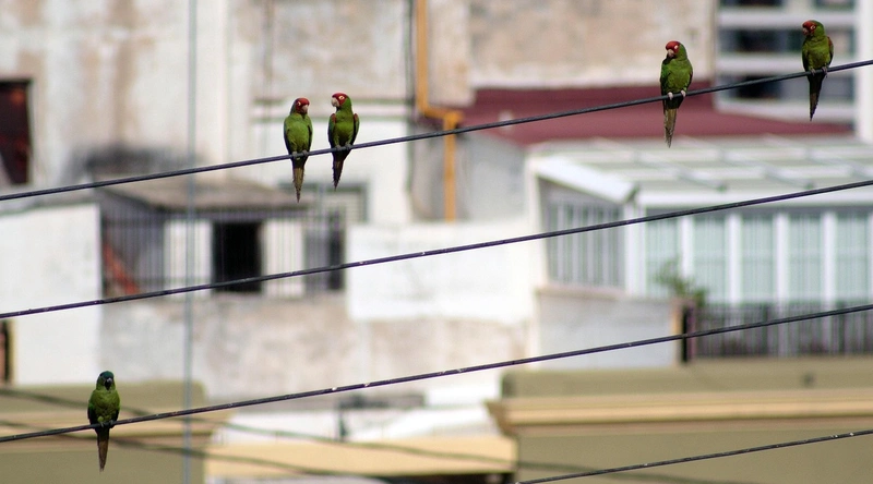 위빙 이음의 유의점
