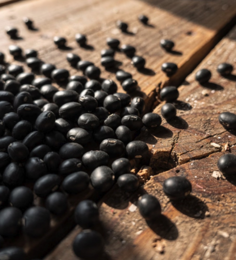 검은콩 효능 대표이미지