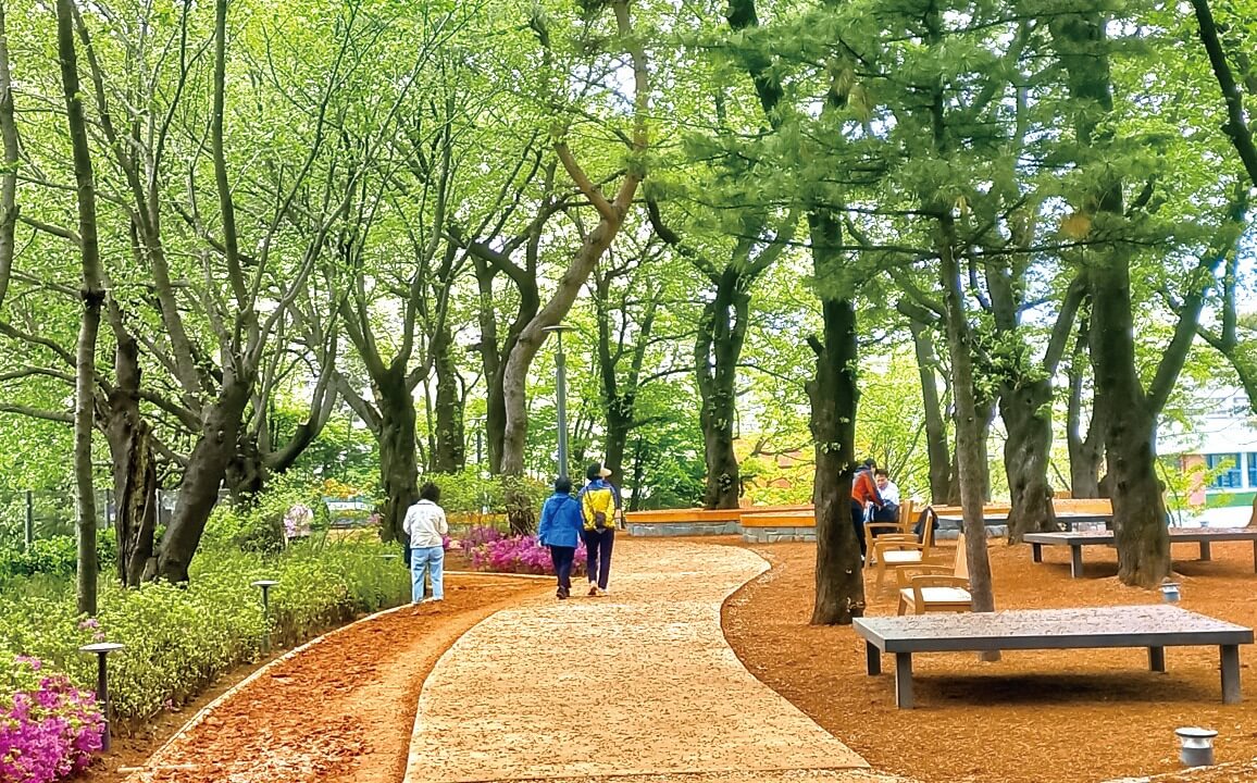 서울 노원 초안산 수국동산