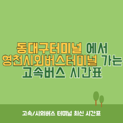 동대구터미널에서 영천시외버스터미널 가는 고속버스 시간표 최신정보