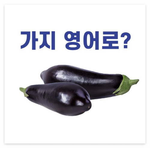 eggplant, 가지 영어로 텍스트