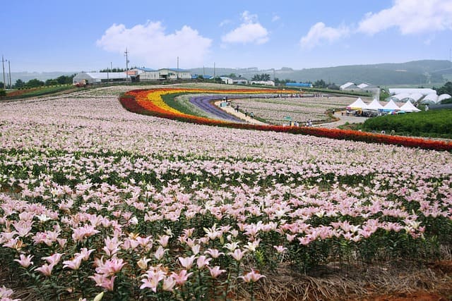 태안, 바다와 자연 속에서 즐기는 가족 힐링 여행 - 아이와 함께 특별한 추억을 만들다