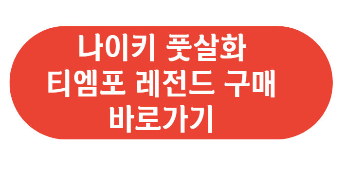 나이키 풋살화 티엠포 레전드 구매 바로가기
