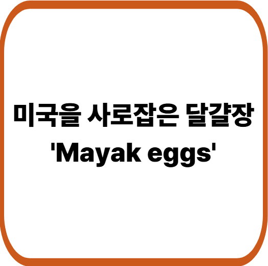 미국 SNS를 강타한 달걀장 열풍, K푸드가 또 해냈다