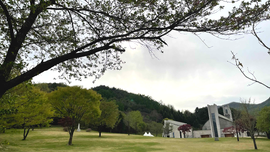 베론성지 잔디밭3