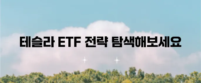 테슬라 2배 레버리지 ETF의 비교 분석 TSLL TSLR TSLT 주가와 투자 전략까지 살펴보자!