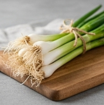 김장 쪽파 심는 시기