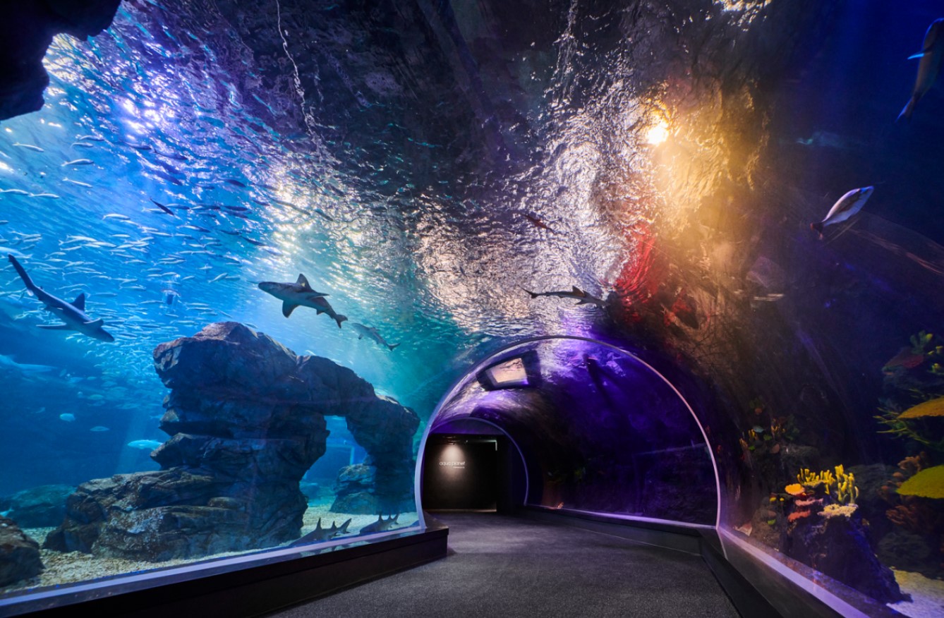 아쿠아플라넷-광교-내부-모습