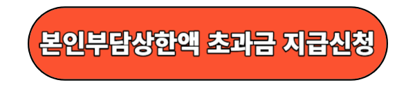본인부담상한초과금 신청