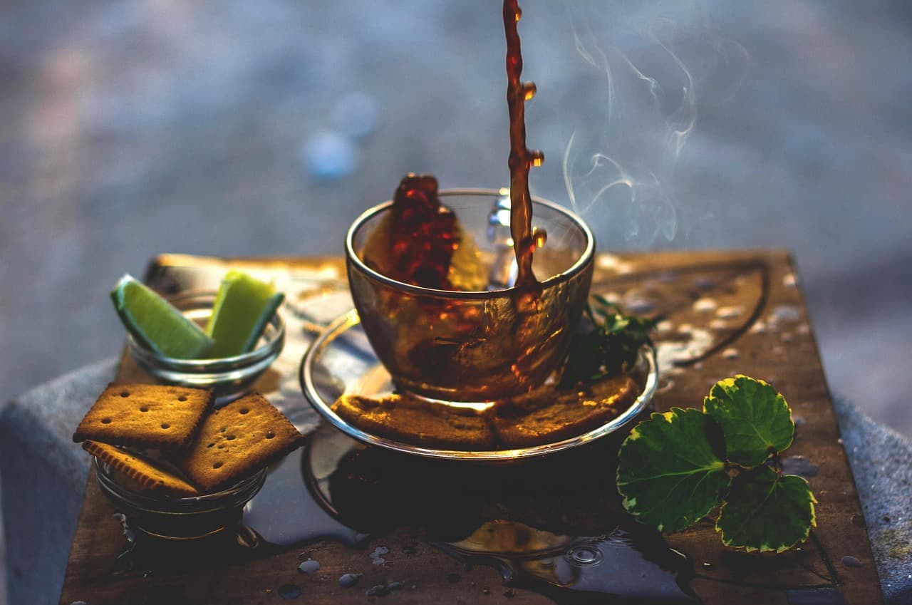 페퍼민트 키우기