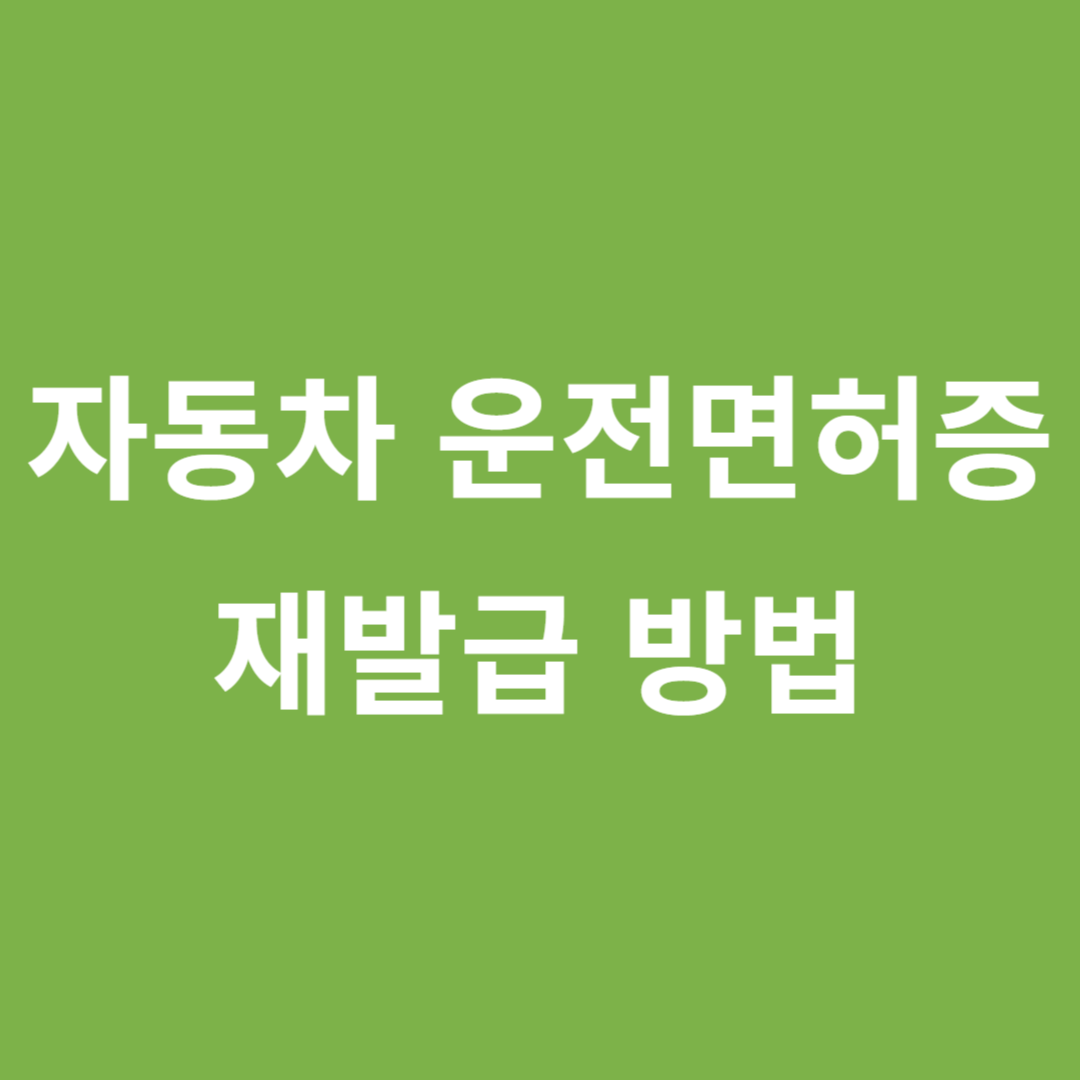 자동차운면허증 재발급 방법