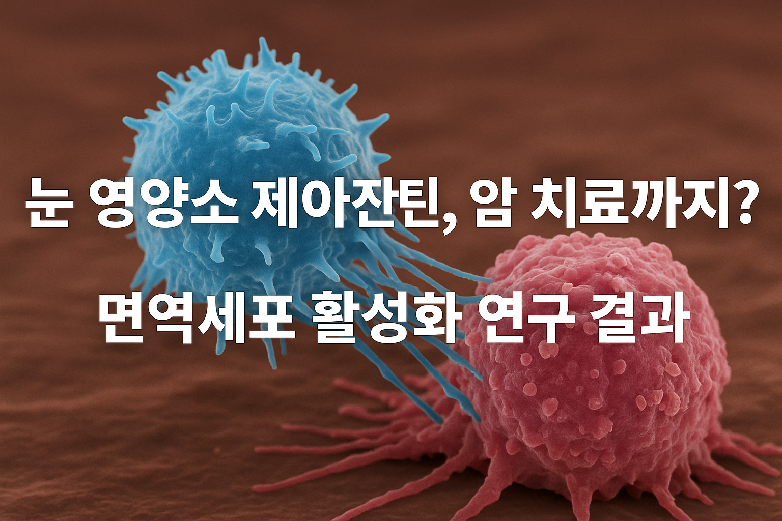 제아잔틴 항암효과