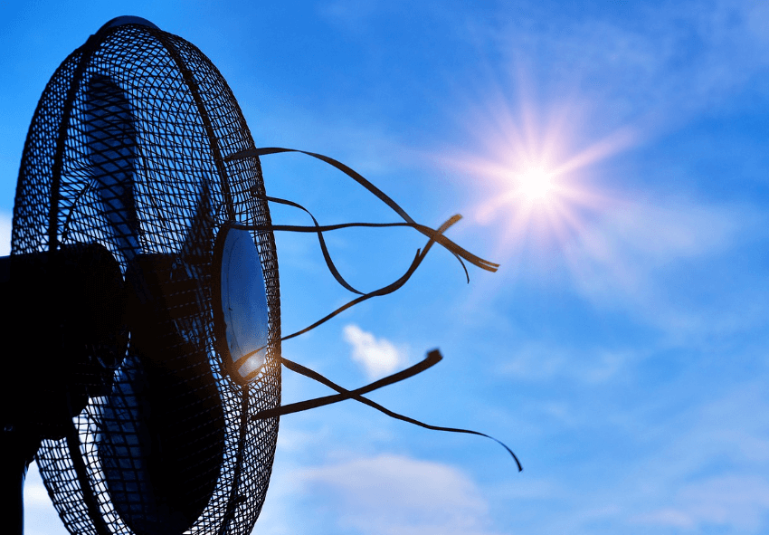 AI 시대의 진정한 승자 관련 이미지