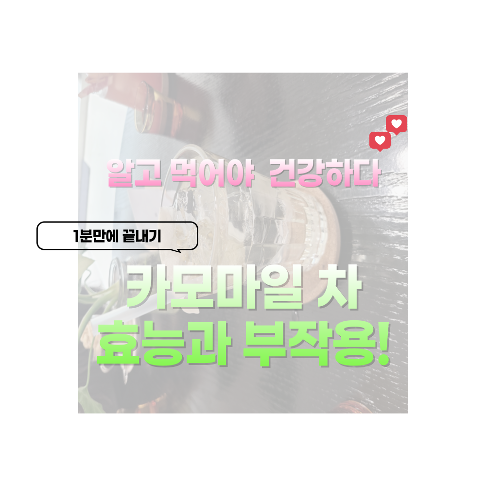 카모마일 차 효능과 부작용!