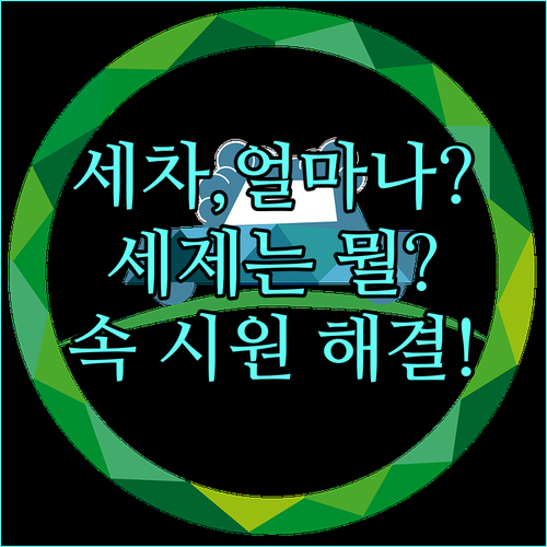 세차 FAQ: 얼마나 자주? 어떤 세