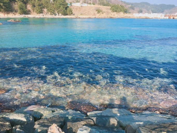 한국의 리틀하와이 영덕 오보해수욕장