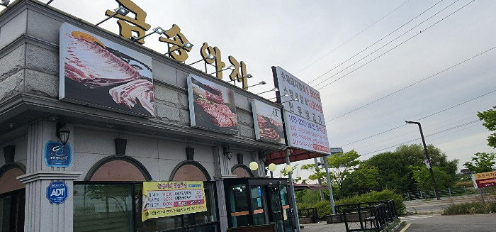 파주금송아지
