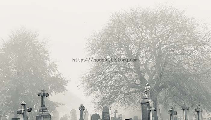 공동묘지 사진
