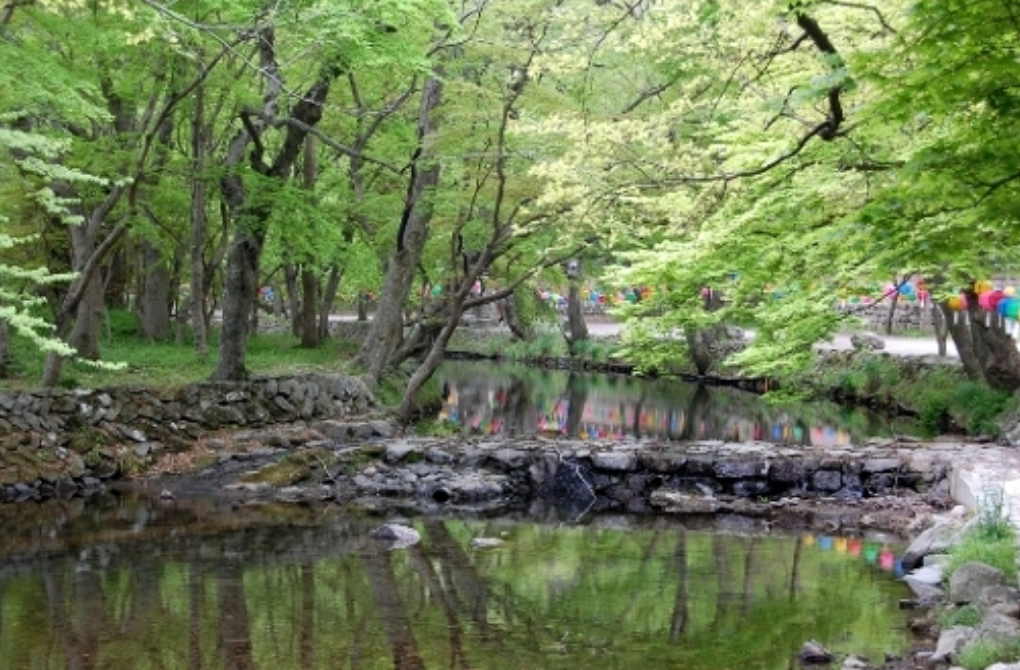 근처 선운사계곡