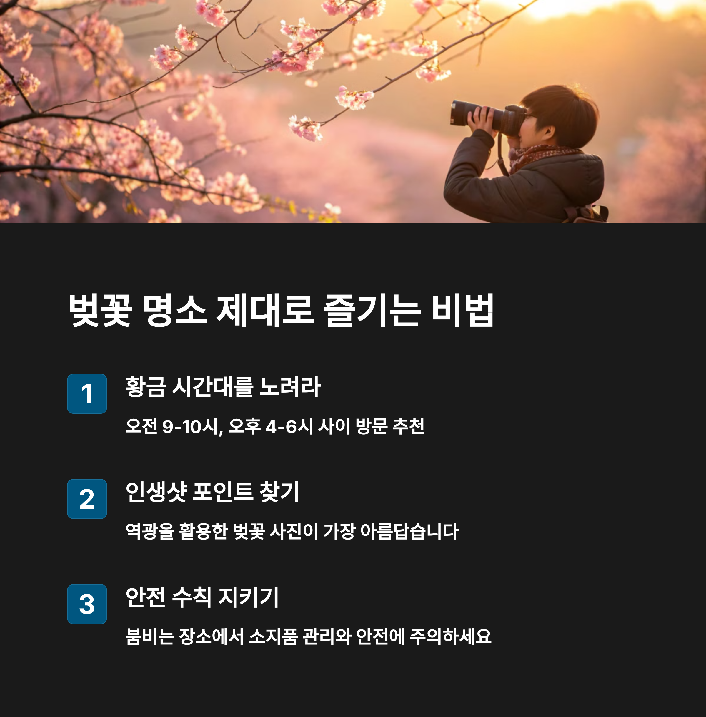 벚꽃나무 사진찍는 사람의 모습