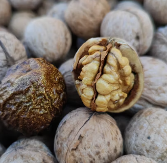 퇴행성 관절염에 좋은 음식 영양제 식단