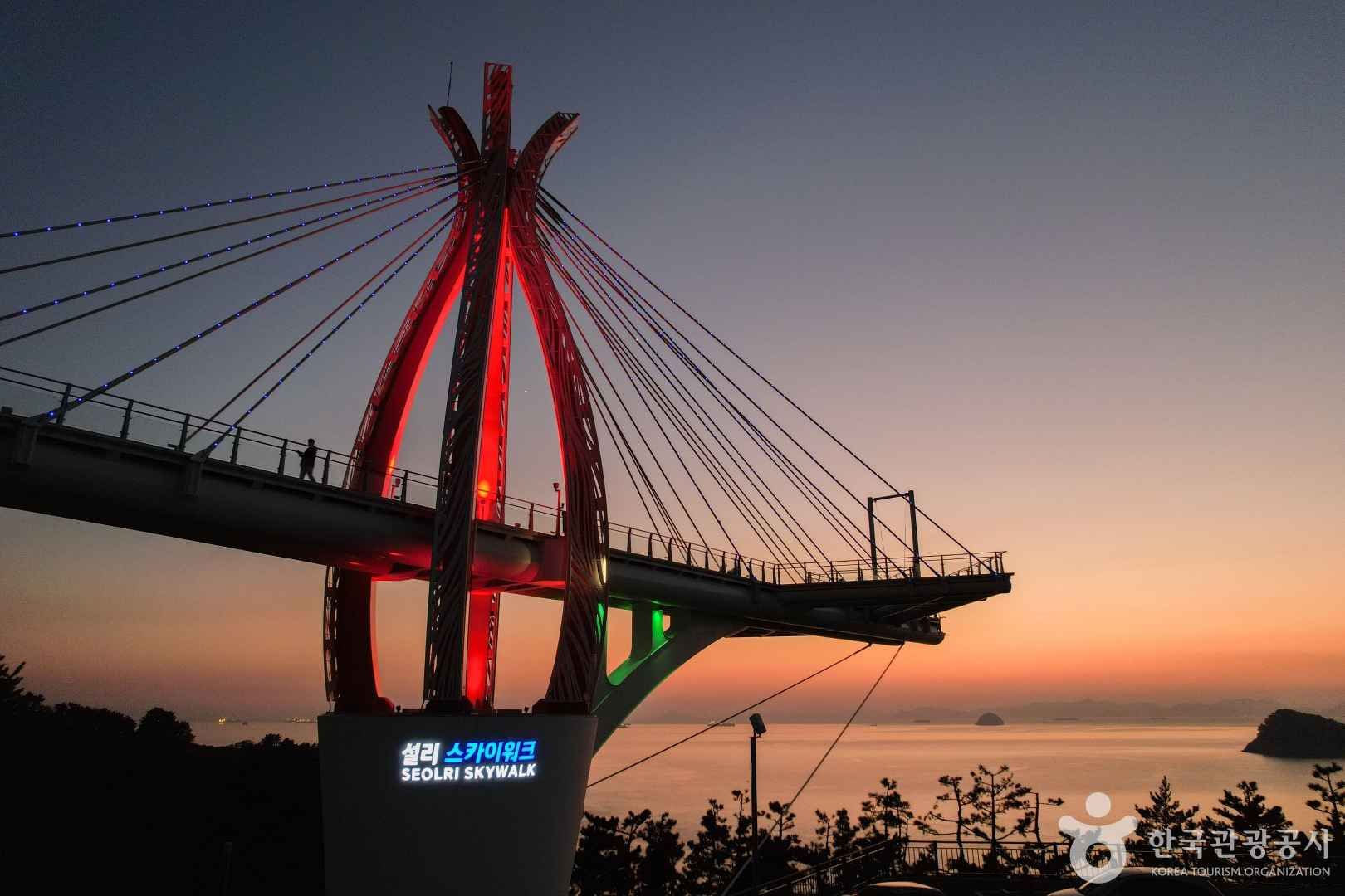 설리스카이워크