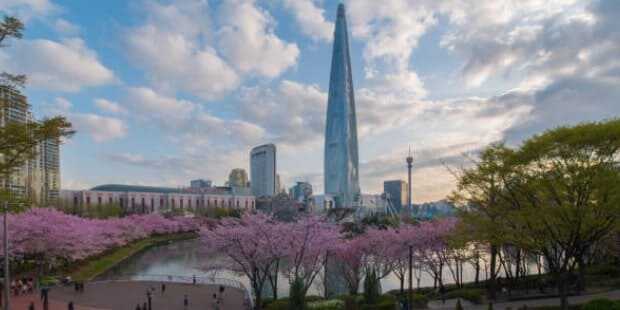 2025 석촌호수 벚꽃축제