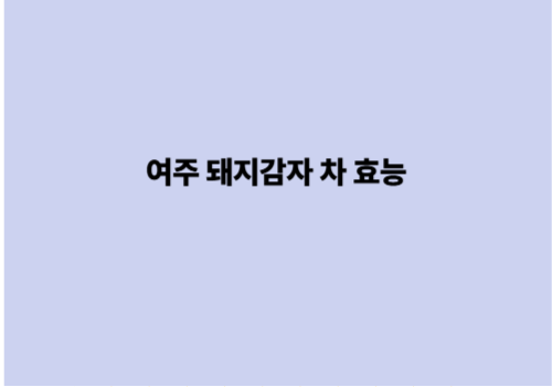 여주 돼지감자 차 효능