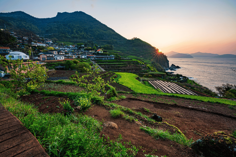 남해 독일마을 완벽 가이드