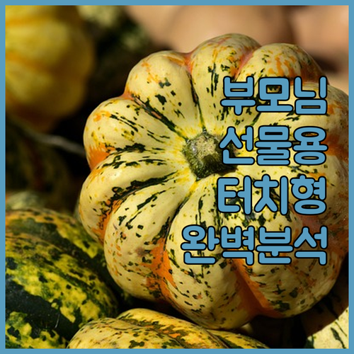 부모님 선물용 터치식 전자레인지 고르..