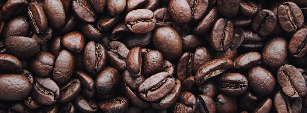 로부스타 커피 알아보기