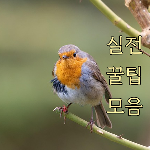 고양 행신동 쓰레기 버리는 법, 일반..