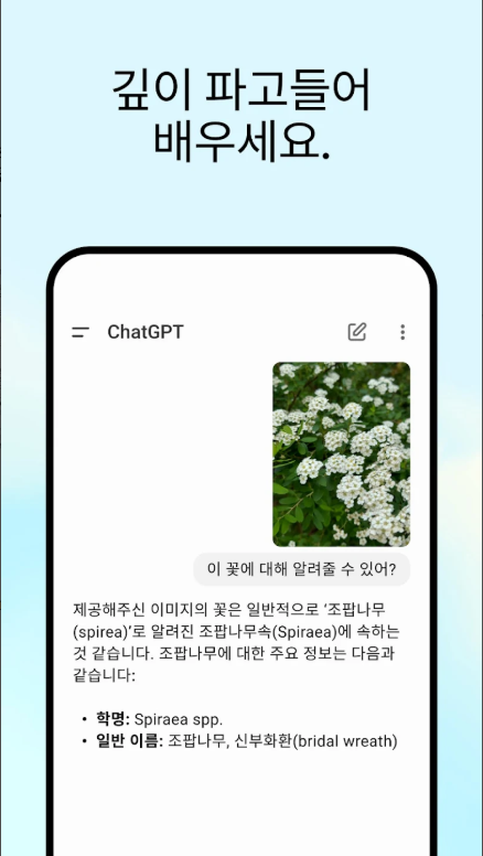 ChatGPT, 쳇지티피, 내 손안의 똑똑한 AI 비서와 대화하기