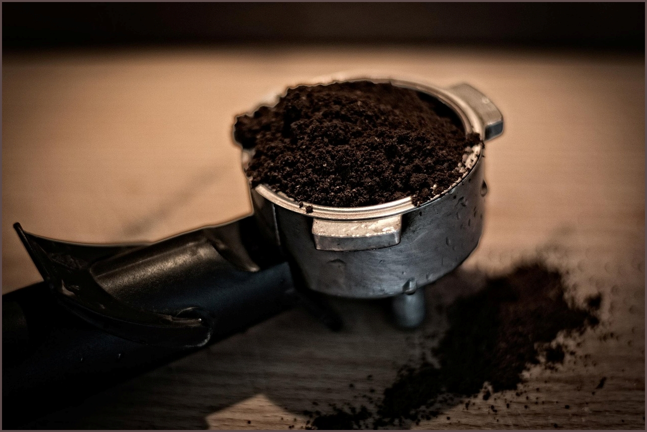 아반떼 하이브리드 가격