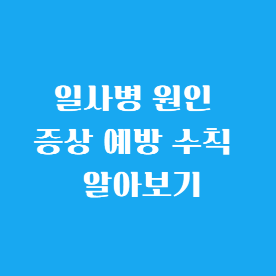 일사병 원인 증상 예방 수칙 알아보기