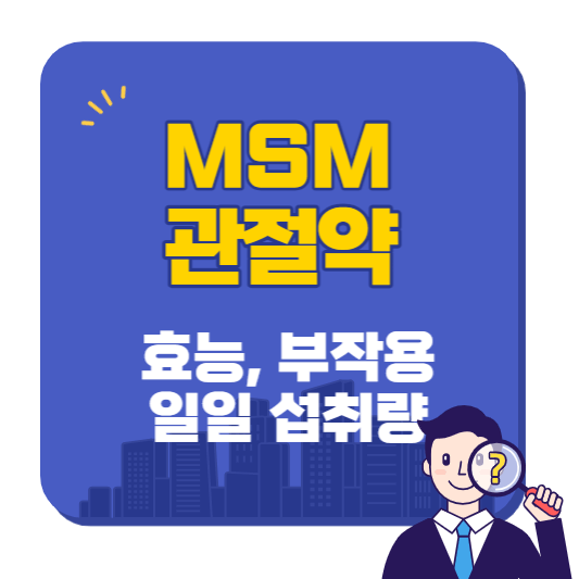 msm의_효능