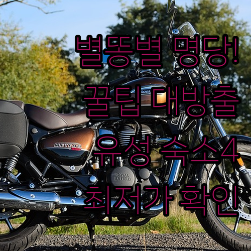 별똥별 관찰 포인트 및 대전 유성 숙..