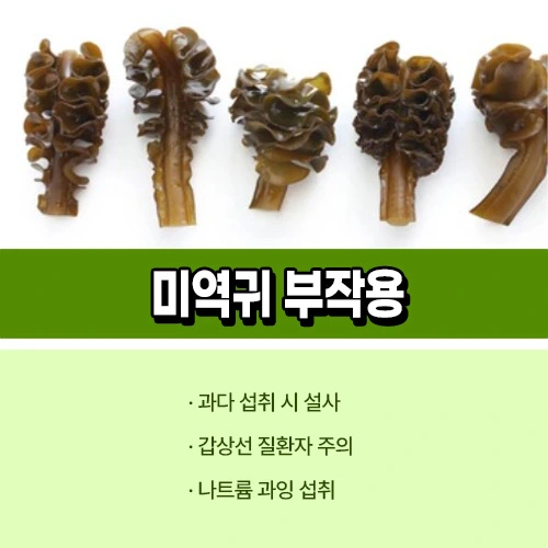 미역귀 부작용