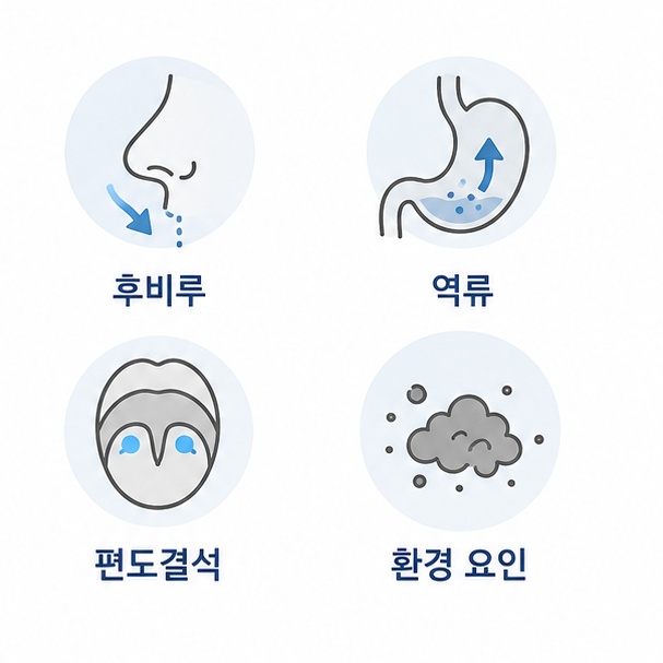 목 이물감 주요 원인 네 가지 비교
