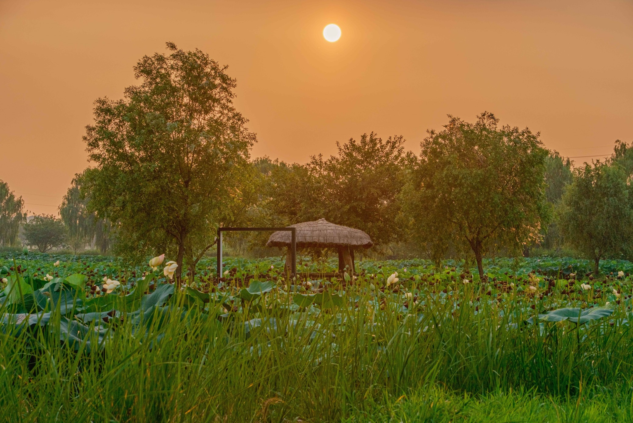 당진-합덕제의-노을