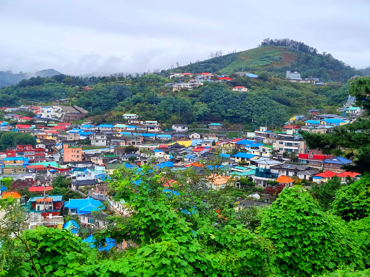 동해 묵호 가볼만한곳 도째비골 스카이밸리 총정리|입장료·전망·레포츠·스탬프투어