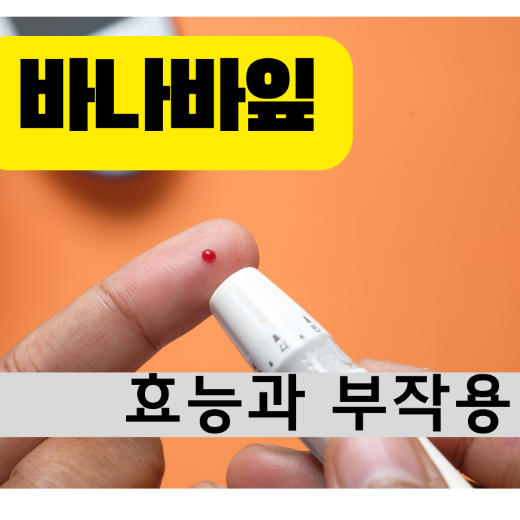 바나바잎썸네일