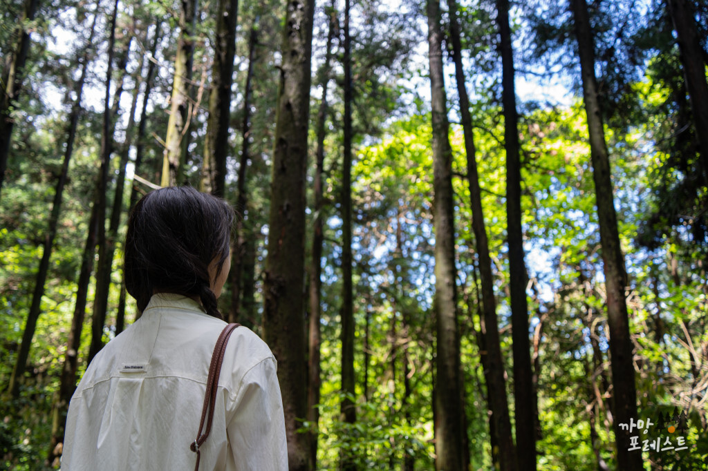 왕이메오름 출사